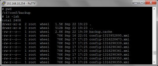Remote Backups Via SSH