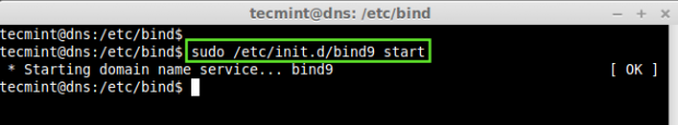 Start DNS Server