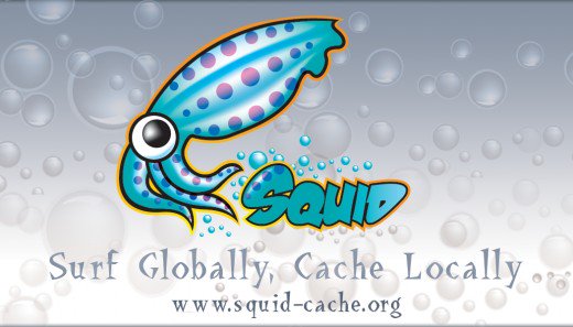 Transparent Squid Proxy Server تعلم كيفية الاعداد له في سيرفر pfsense