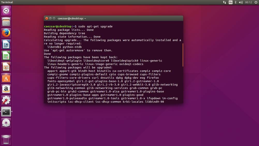 Upgrade Ubuntu 15.10